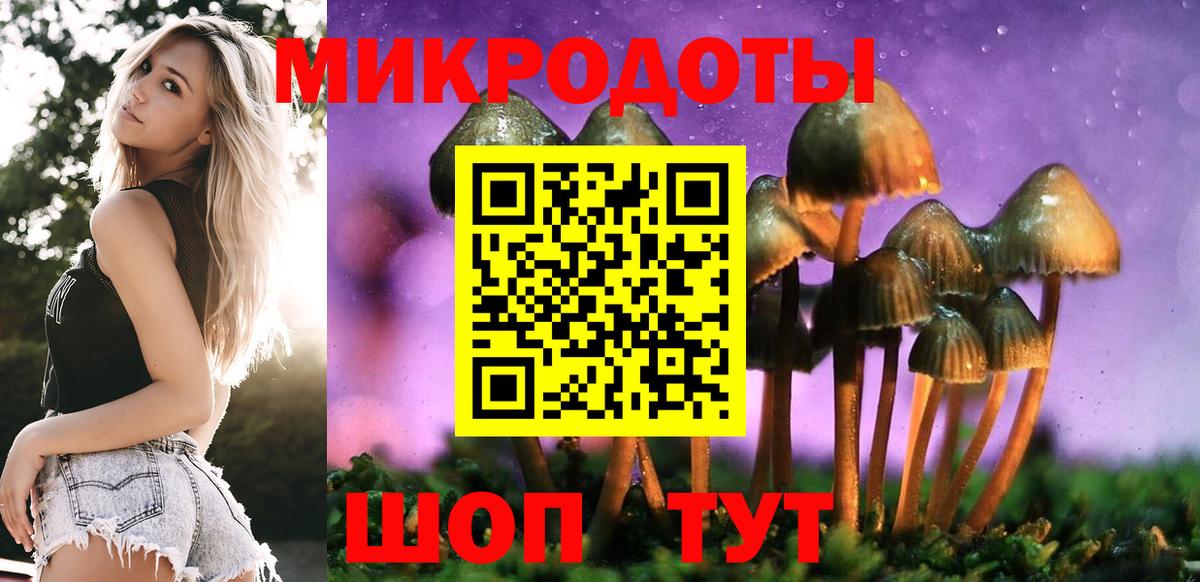 Конопля Краснознаменск