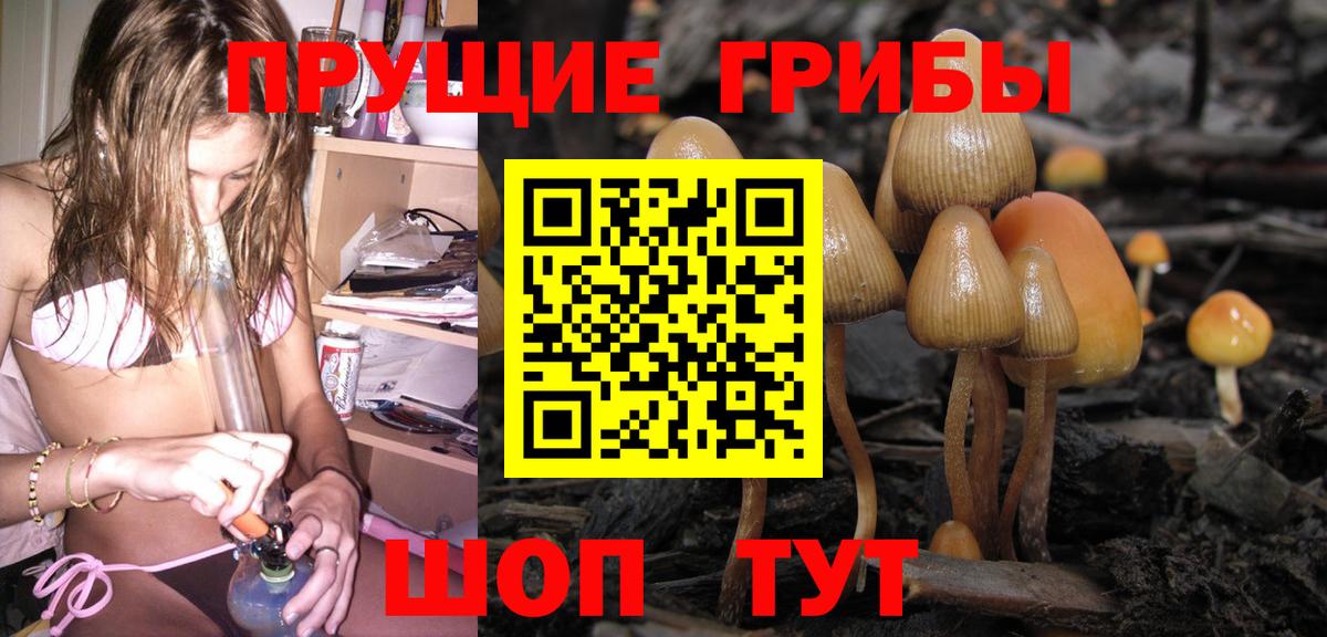 где найти   Вход с VPN  Псилоцибиновые грибы Magic Shrooms  Краснознаменск  Галлюциногенные грибы мицелий 